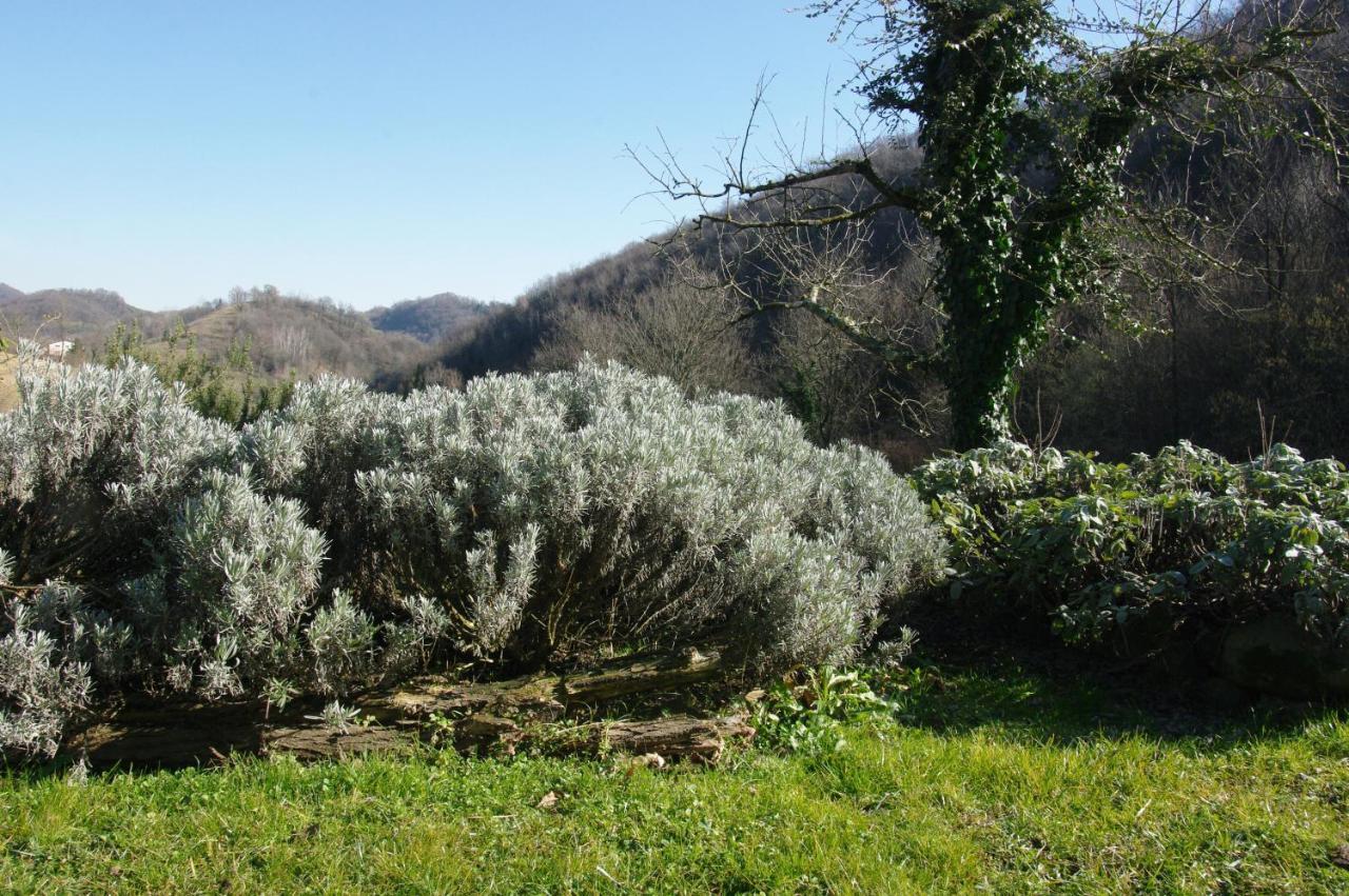 Agriturismo Corte Del Maso Bassano del Grappa Kültér fotó